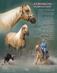 T_05-JJRedbuck.jpg